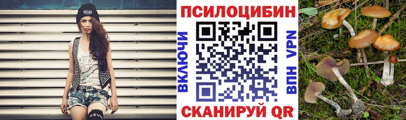 Псилоцибиновые грибы мицелий  Азов 